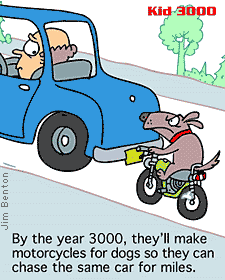 motorcycles for dogs